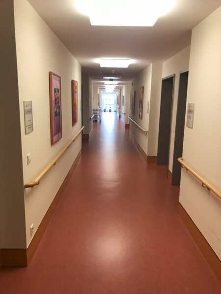 Objekt Bild
